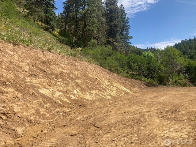 10690 Fox Rd, Leavenworth, WA 98826 - photo 20