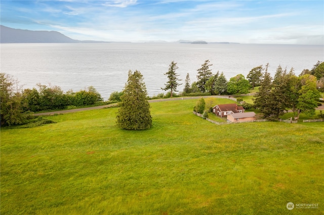 view of yard featuring a water and mountain view