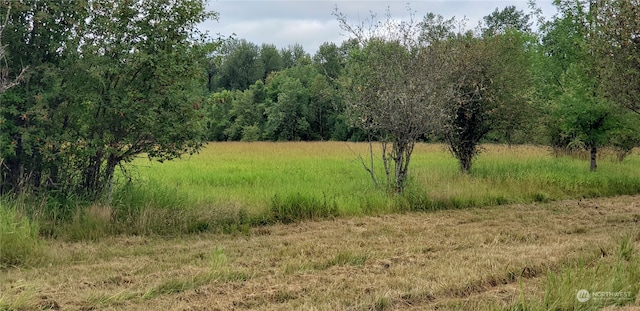 Listing photo 3 for 196LOT2 Jensen Rd, Onalaska WA 98570