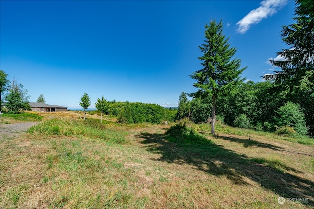 120 Red Hawk Dr, Castle Rock WA, 98611 land for sale