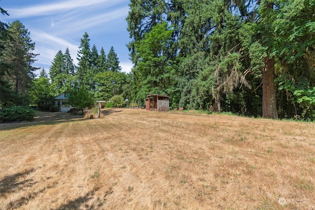 view of yard with a storage shed