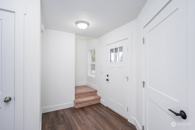 entryway featuring dark hardwood / wood-style flooring