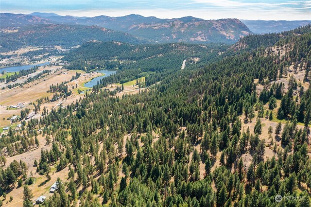 0TBD Klondike Rd, Republic, WA 99166 - photo 4