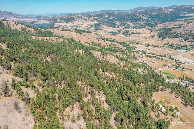 0TBD Klondike Rd, Republic, WA 99166 - photo 6