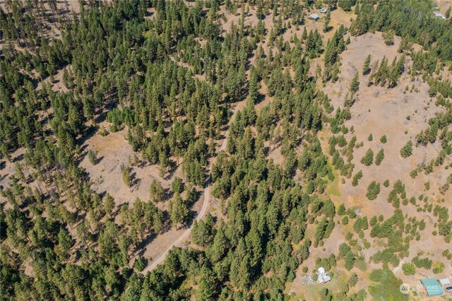 0TBD Klondike Rd, Republic, WA 99166 - photo 11