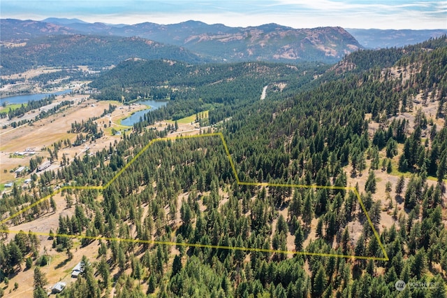 0TBD Klondike Rd, Republic, WA 99166 - photo 5