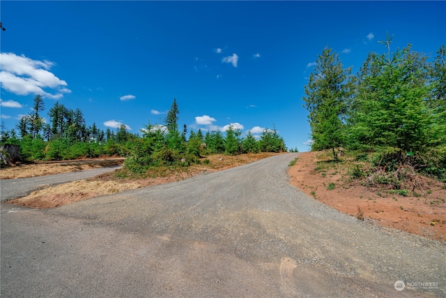 0 S Silver Lake Rd, Castle Rock, WA 98611 - photo 4