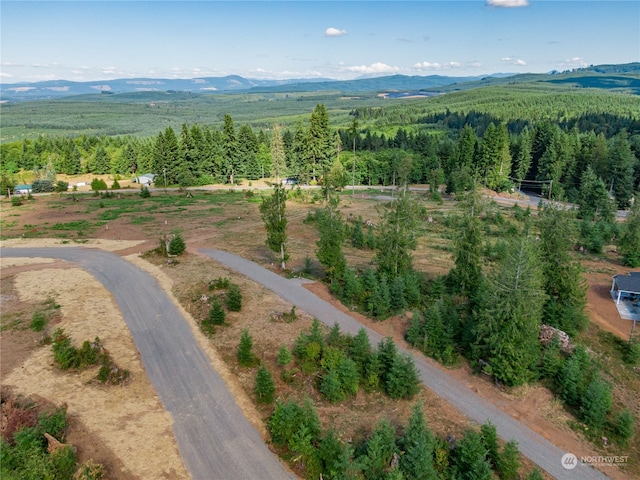 0 S Silver Lake Rd, Castle Rock, WA 98611 - photo 5