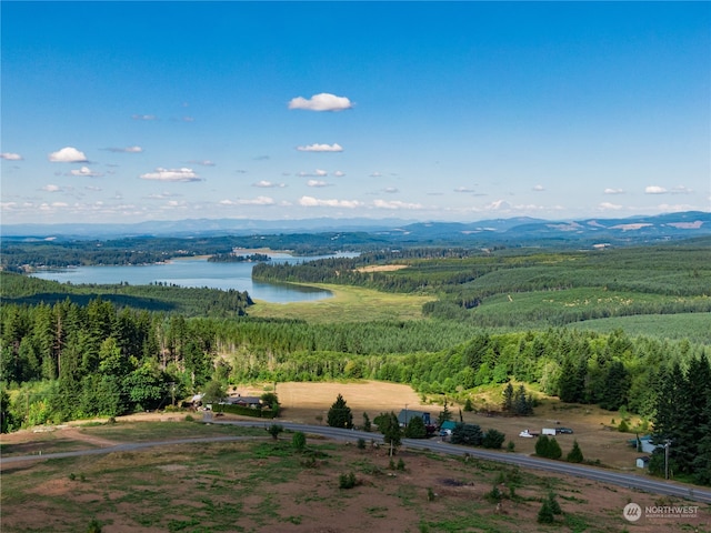 0 S Silver Lake Rd, Castle Rock, WA 98611 - photo 6