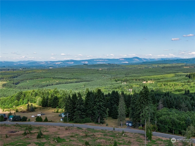 0 S Silver Lake Rd, Castle Rock, WA 98611 - photo 7