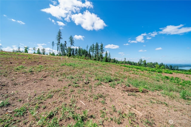 Listing photo 3 for 0 S Silver Lake Rd, Castle Rock WA 98611