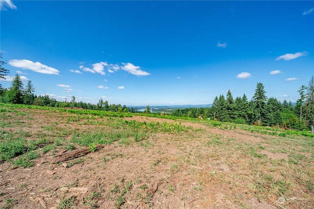 0 S Silver Lake Rd, Castle Rock, WA 98611 - photo 4