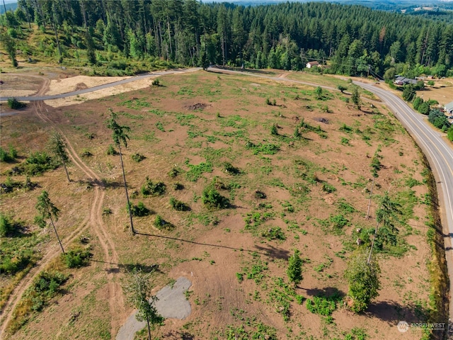 0 S Silver Lake Rd, Castle Rock, WA 98611 - photo 5