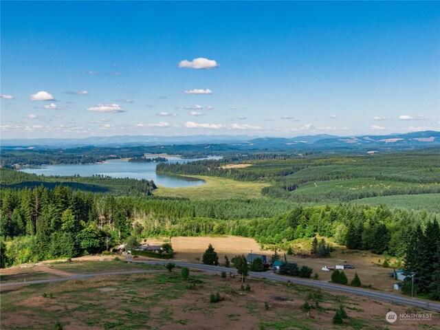 0 S Silver Lake Rd, Castle Rock, WA 98611 - photo 6