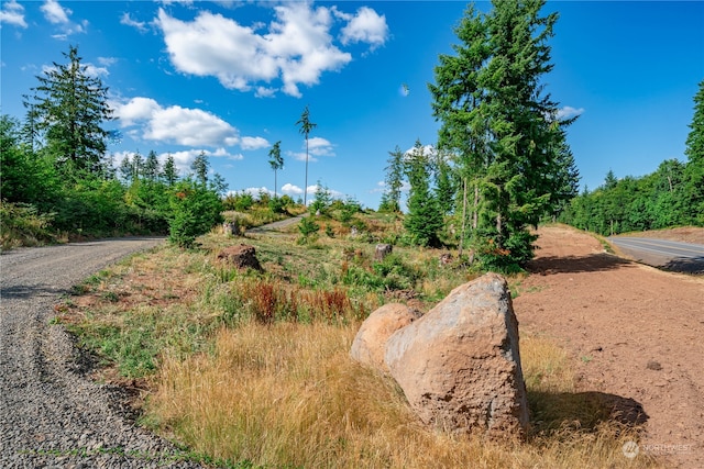 0 S Silver Lake Rd, Castle Rock WA, 98611 land for sale