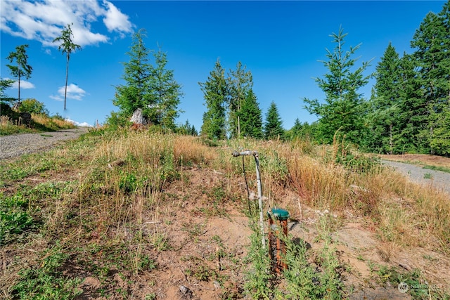 Listing photo 2 for 0 S Silver Lake Rd, Castle Rock WA 98611