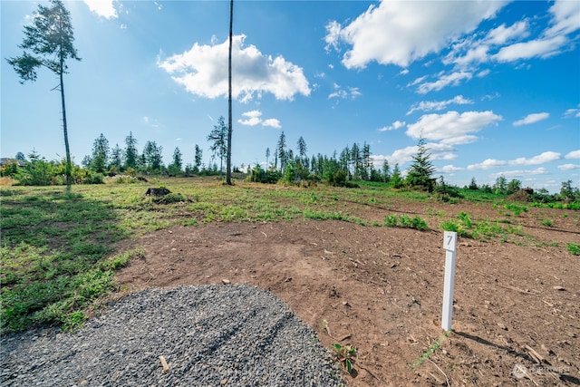 Listing photo 3 for 0 S Silver Lake Rd, Castle Rock WA 98611