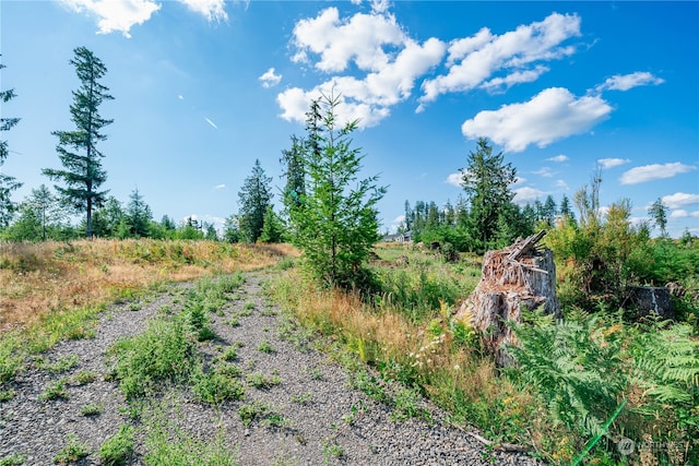 0 S Silver Lake Rd, Castle Rock WA, 98611 land for sale