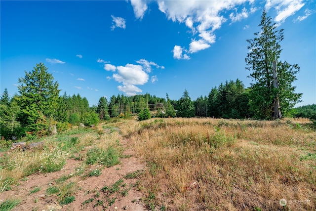 Listing photo 2 for 0 S Silver Lake Rd, Castle Rock WA 98611