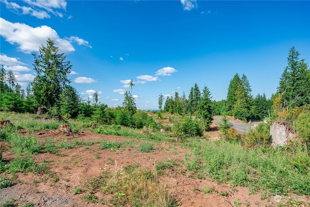 Listing photo 3 for 0 S Silver Lake Rd, Castle Rock WA 98611