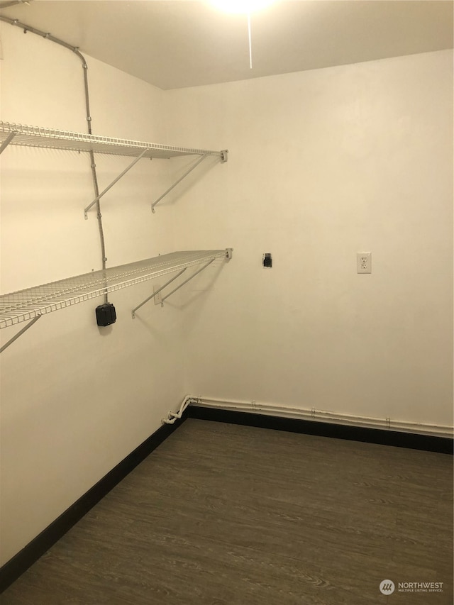 spacious closet featuring dark wood-type flooring