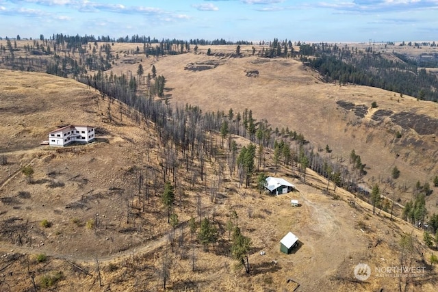 birds eye view of property featuring a rural view