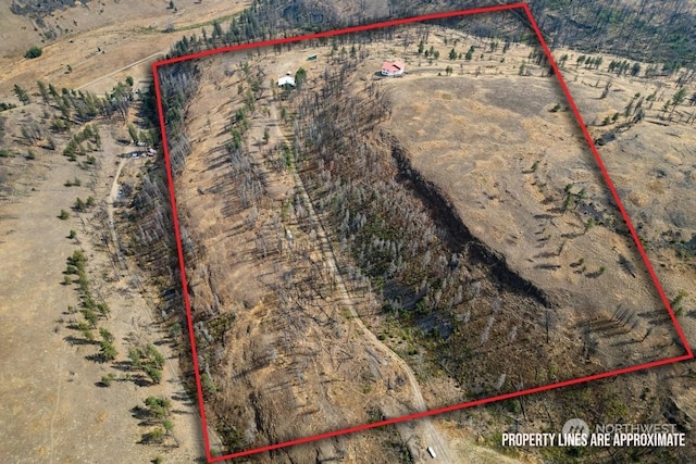 bird's eye view featuring a rural view