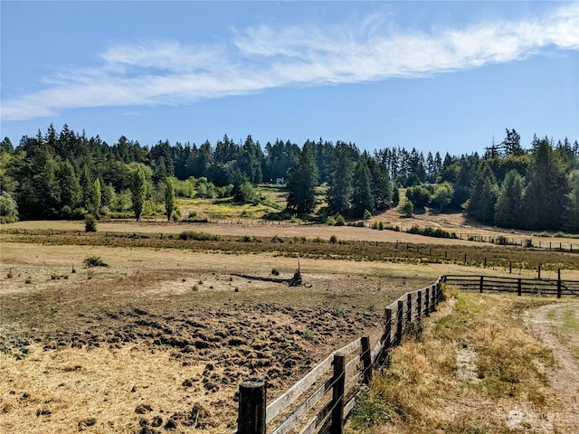 view of yard featuring a rural view