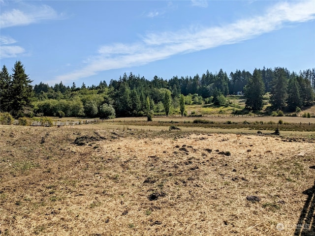 view of local wilderness with a rural view