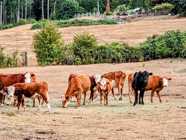 view of stable featuring a rural view