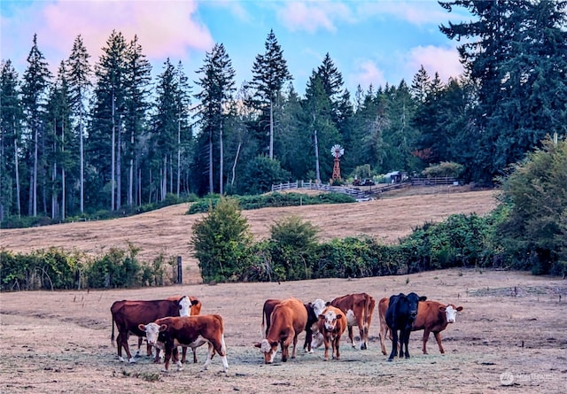 view of home's community featuring a rural view