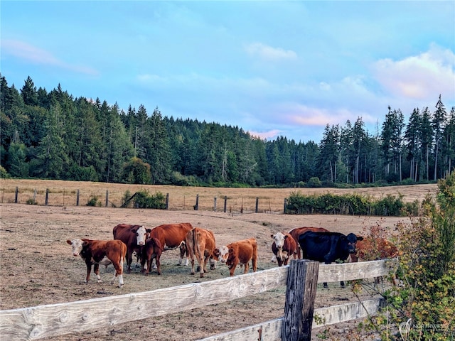 view of yard with a rural view