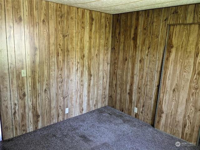 empty room featuring carpet flooring and wooden walls