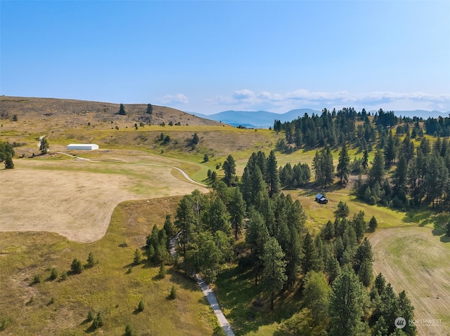 drone / aerial view with a rural view and a mountain view