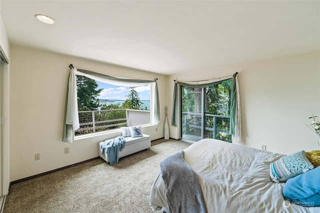 view of carpeted bedroom