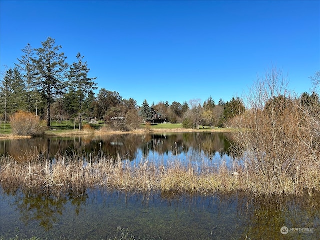 view of property view of water