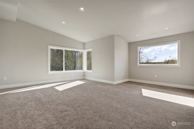 empty room with carpet, plenty of natural light, and vaulted ceiling