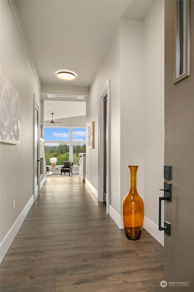 hallway with dark hardwood / wood-style flooring