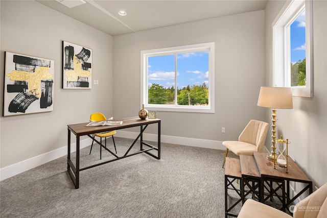 home office featuring carpet