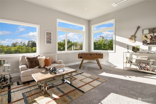 view of carpeted living room