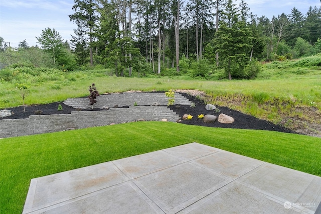 view of yard with a patio