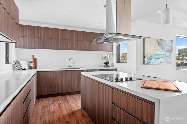 kitchen with black electric stovetop, island range hood, a sink, light countertops, and modern cabinets