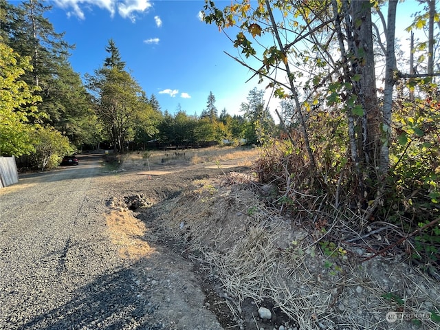 130 E Tacoma St, Union WA, 98592 land for sale