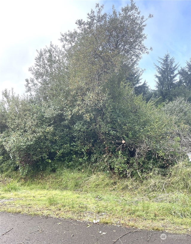 153 NW Gull St, Ocean Shores, WA 98569 - photo 2