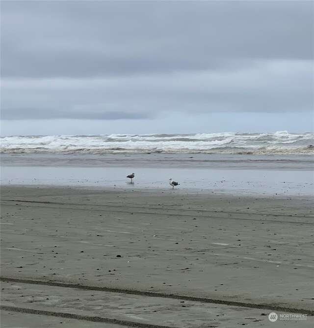 153 NW Gull St, Ocean Shores, WA 98569 - photo 9