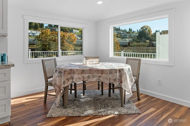 dining area with dark hardwood / wood-style flooring