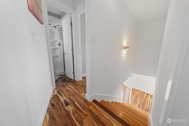 hallway featuring dark hardwood / wood-style floors