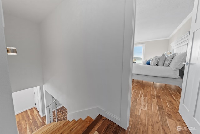 hallway featuring crown molding and light hardwood / wood-style floors