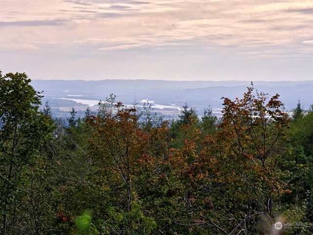 340 Woodland Heights Rd, Woodland, WA 98674 - photo 4
