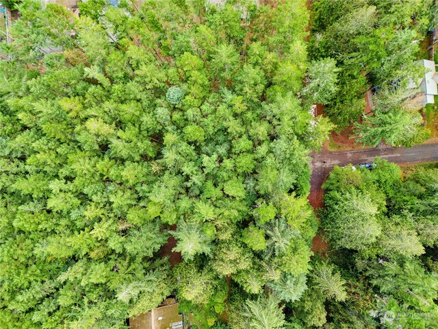 053XX Sheridan St, Port Townsend, WA 98368 - photo 4